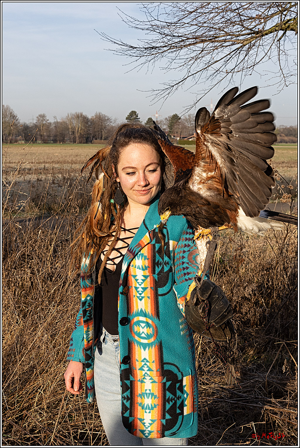 Cheyenne-Halbblut Hunting Wolf in der Falknerei Pierre Schmidt; Gymnich, 09.02.2023